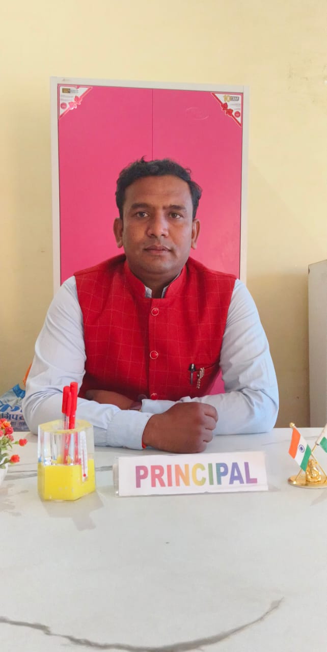 School Principal - Vikas Public School Leadership